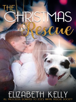 cover image of The Christmas Rescue